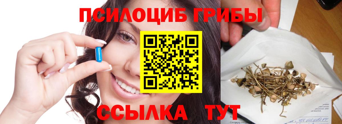 что такое   Вход с VPN  Ахтубинск  Галлюциногенные грибы Psilocybe 